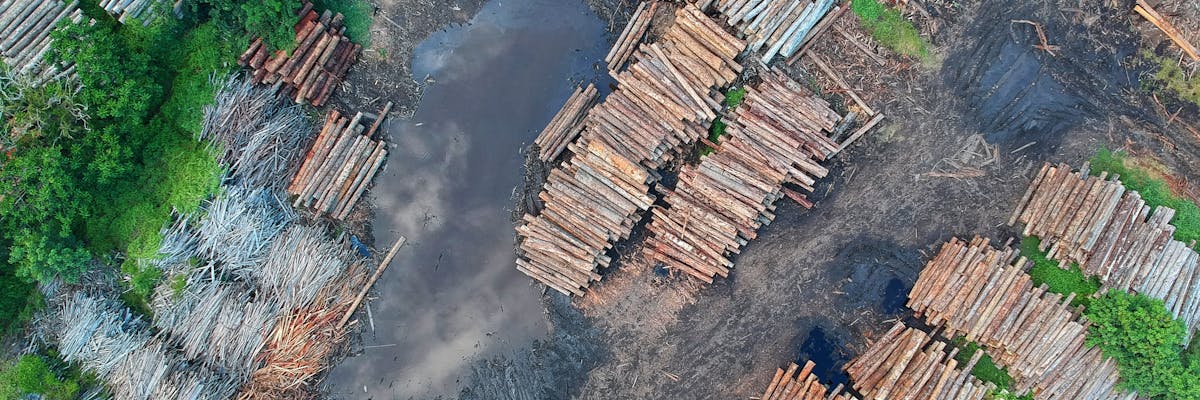 Stacked firewood ready for delivery